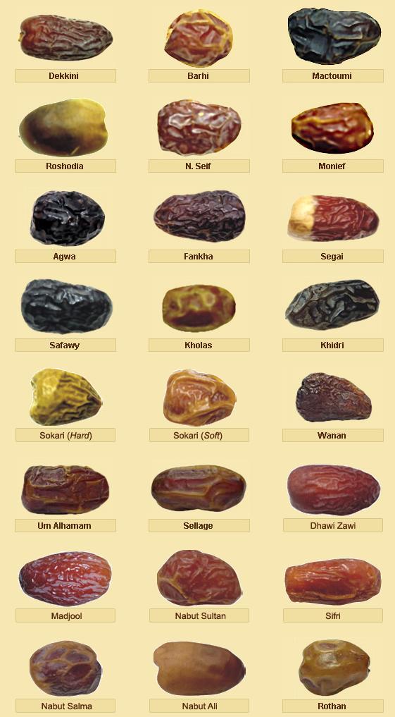 Dates Beginning With L