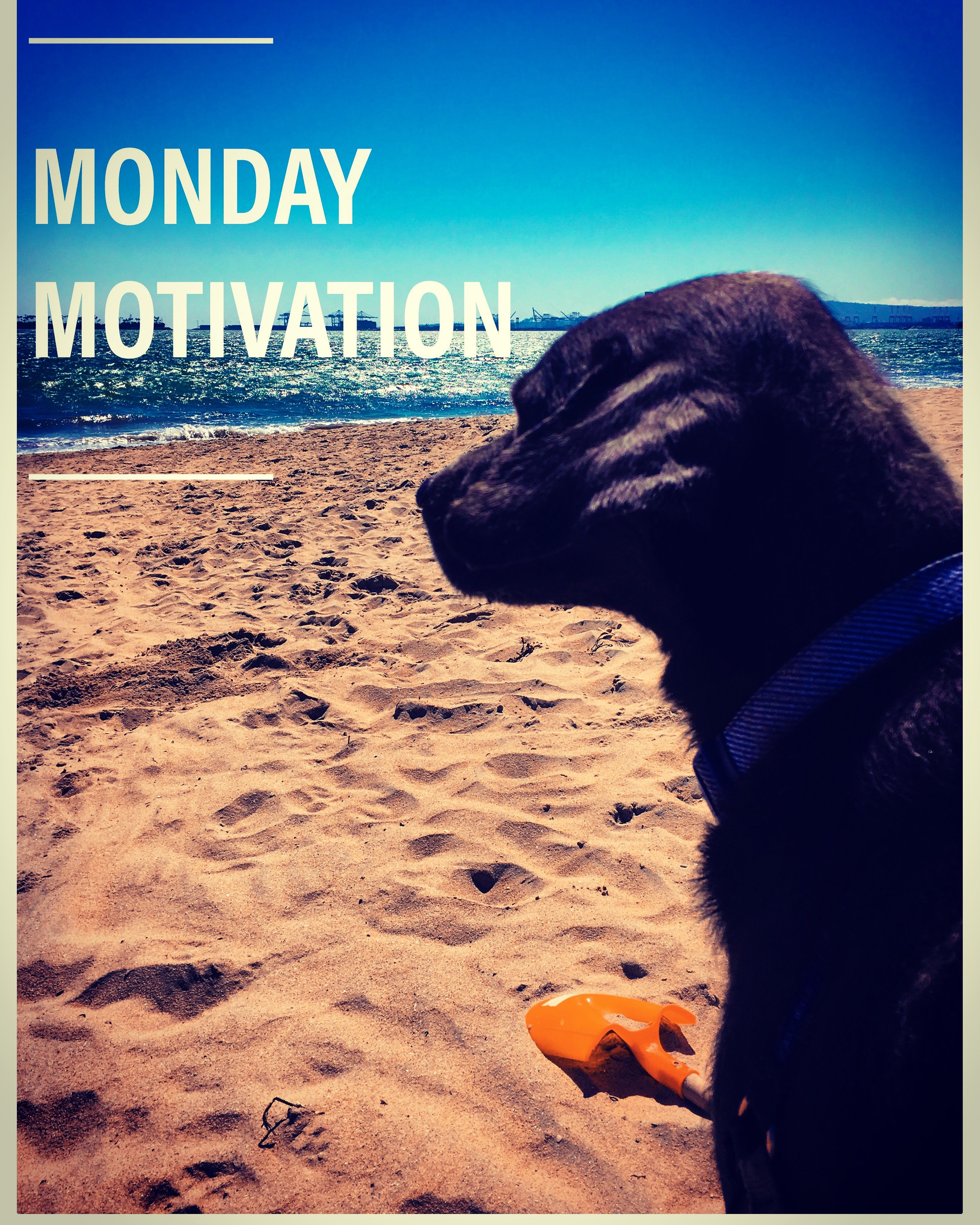 Looking forward to the week ahead! | Monday motivation, Good vibes