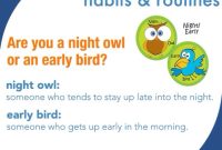 Night Owl Or Morning Bird Quiz