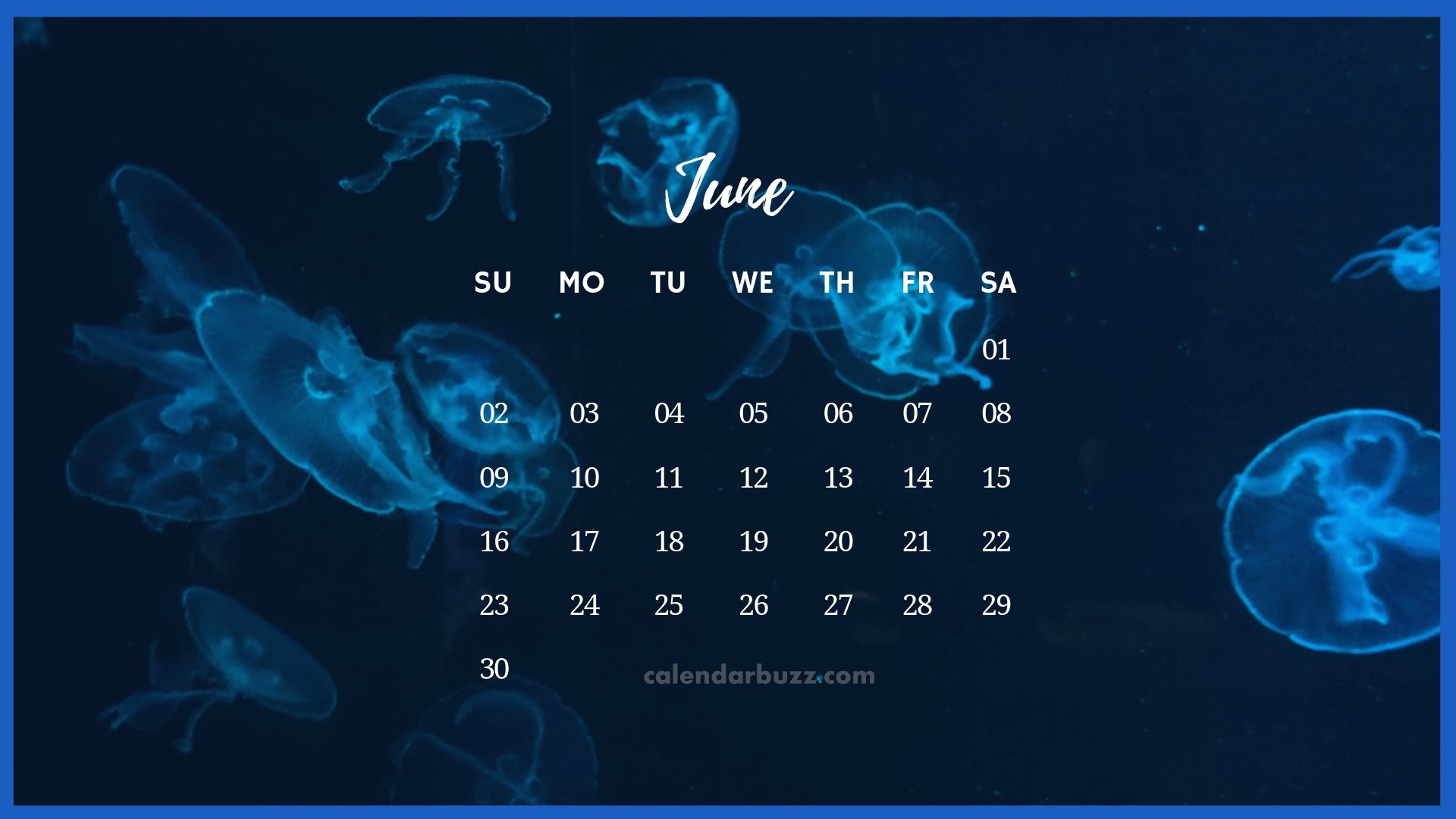 Best Resolution Premium Vector Calendar June 30